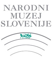 NMS logo s